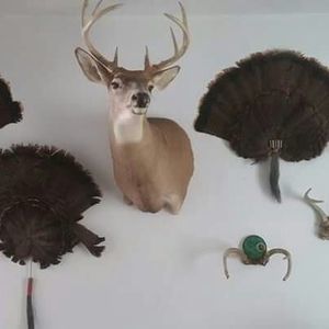 Meet your Posher, Robert